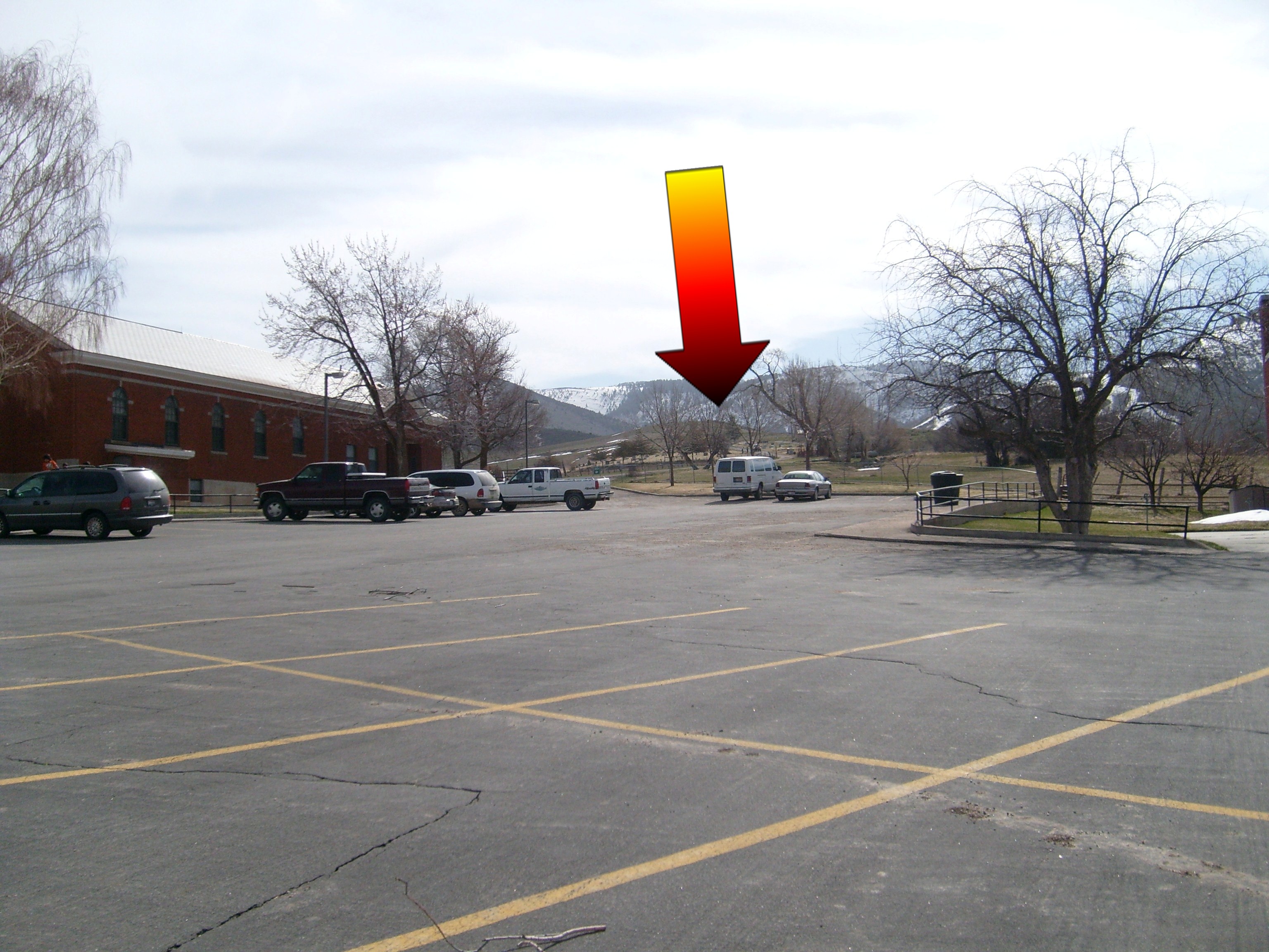 My Cemetery Information